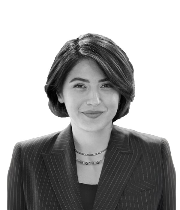 Merve Erdoğan